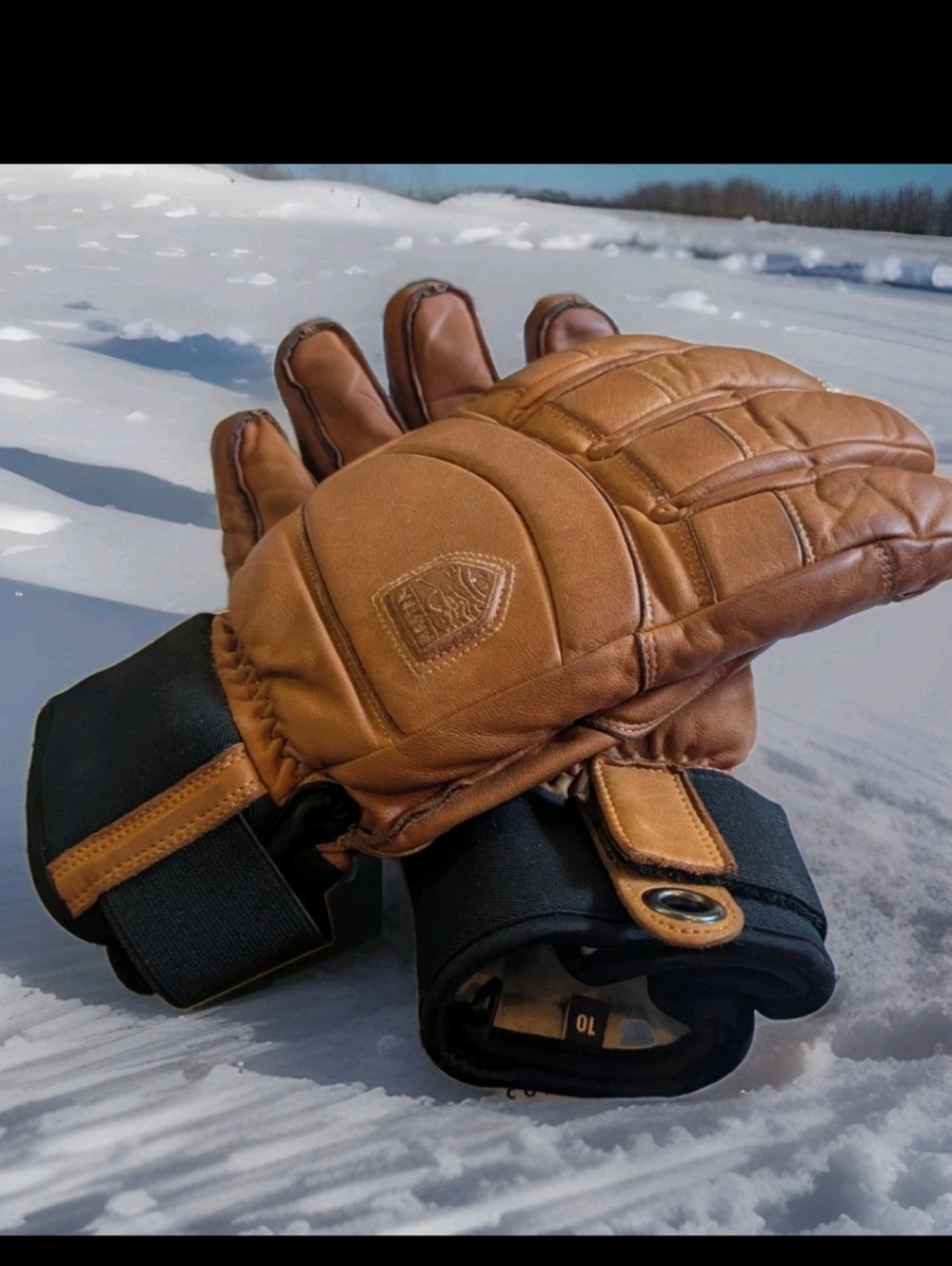 Hestra Alpine Pro Fall Line Leather 5 Finger Ski Gloves Unisex Size 10